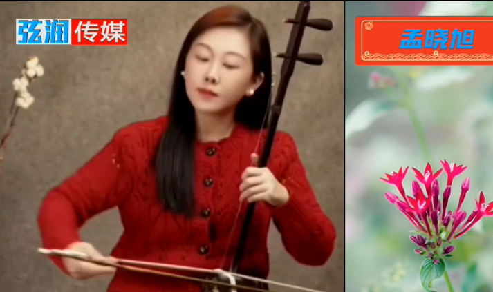 《泪蛋蛋掉在酒杯里》二胡：孟晓旭