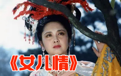 《女儿情》二胡伴奏